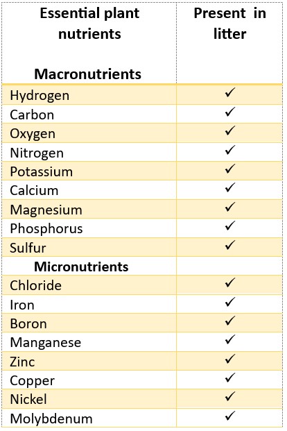 Table showing the essential plant macronutrients and micronutrients present in litter.