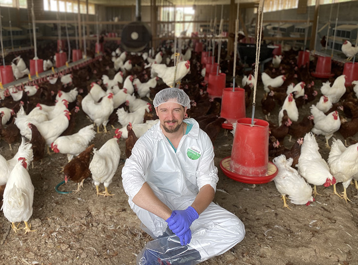 Master cage-free layer production! Keys to success: data tracking, investment & flock health