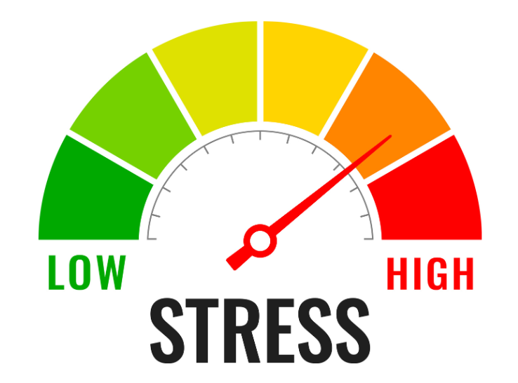 Impacts of fear, anxiety and environment on fast- and slow-growing broilers
