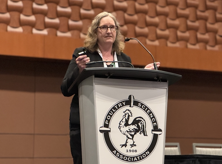 One Health approach to address HPAI in poultry, dairy and humans
