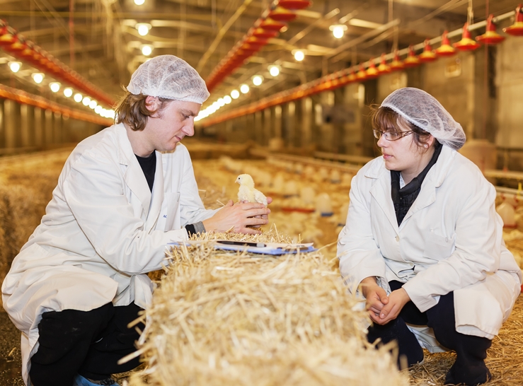 From compliance to culture: evolving animal welfare management