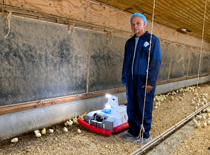 Autonomous robots address labor shortages, economic challenges in broiler production
