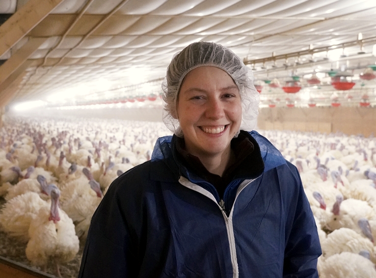 New evidence-based training program addresses turkey live-haul challenges